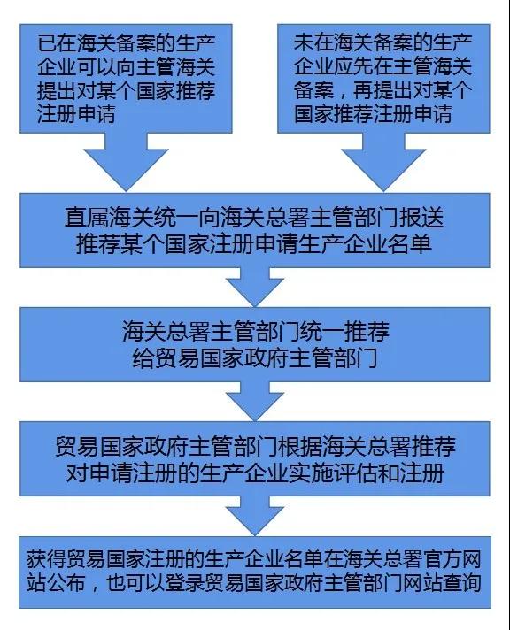 出口外貿(mào)代理