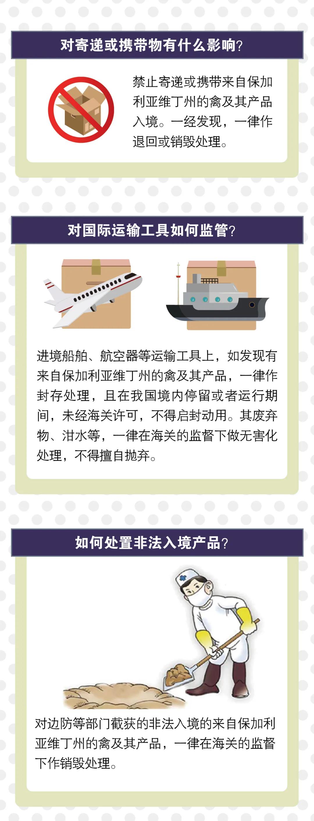 出口外貿(mào)代理