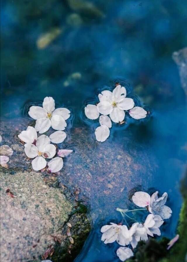 進口外貿(mào)代理