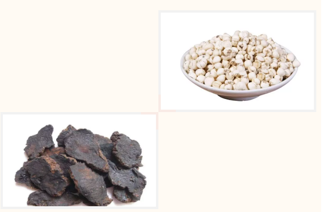 進(jìn)口外貿(mào)代理