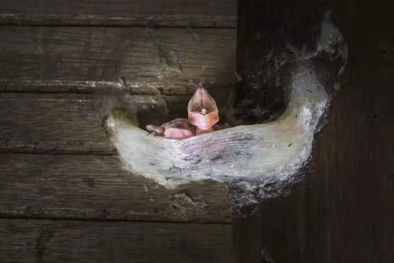 進口外貿(mào)代理