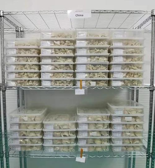 進(jìn)口外貿(mào)代理