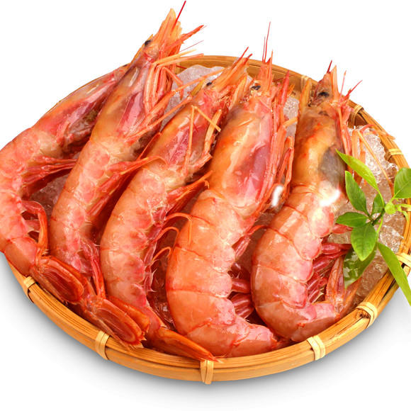 進口外貿(mào)代理