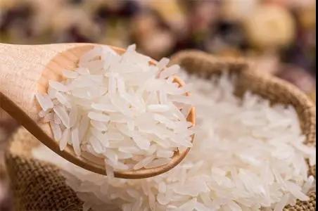 進口外貿(mào)代理