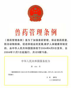 進(jìn)口外貿(mào)代理