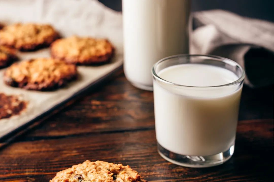 高鈣奶進口代理