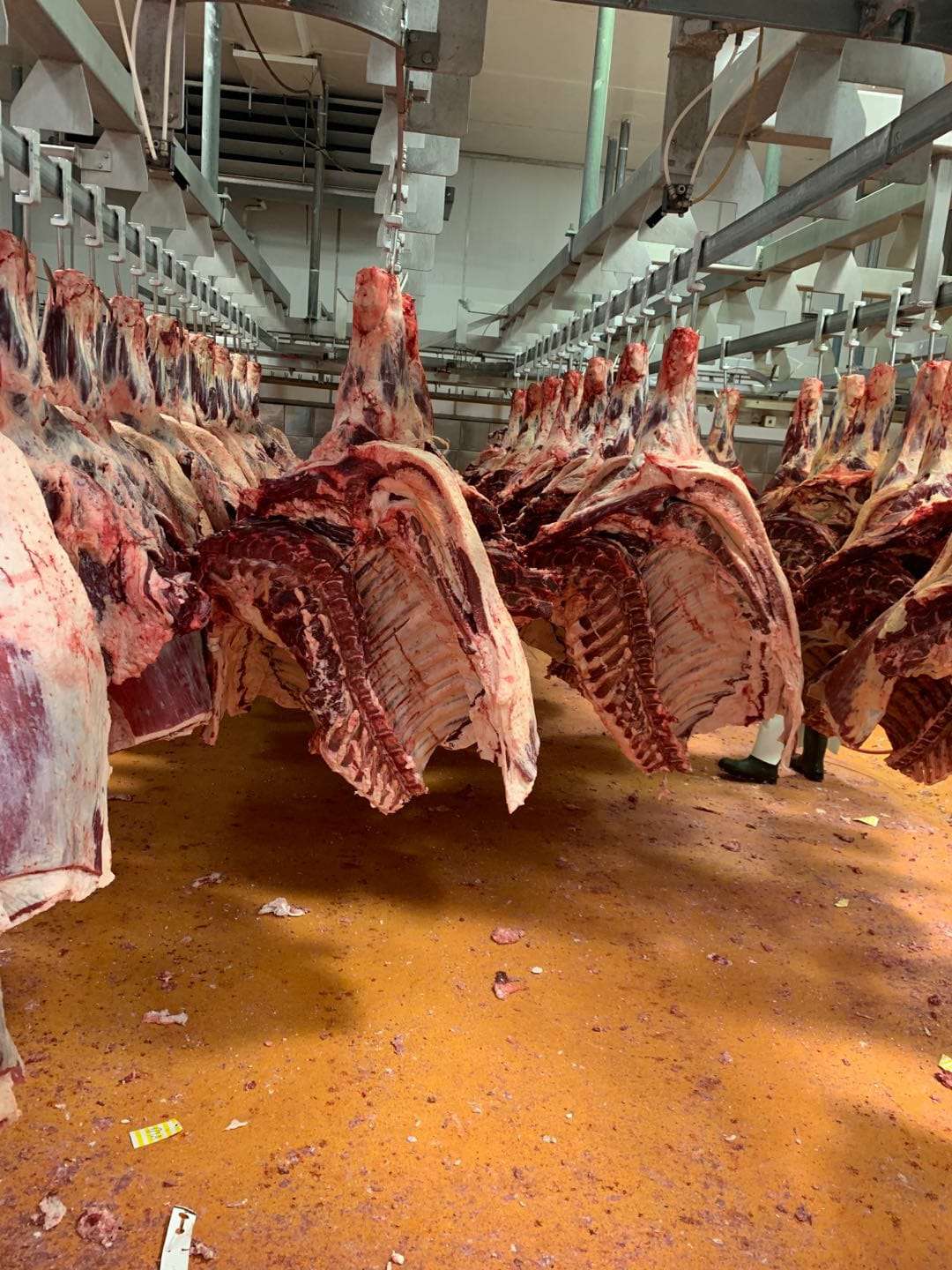 肉類進(jìn)口外貿(mào)代理