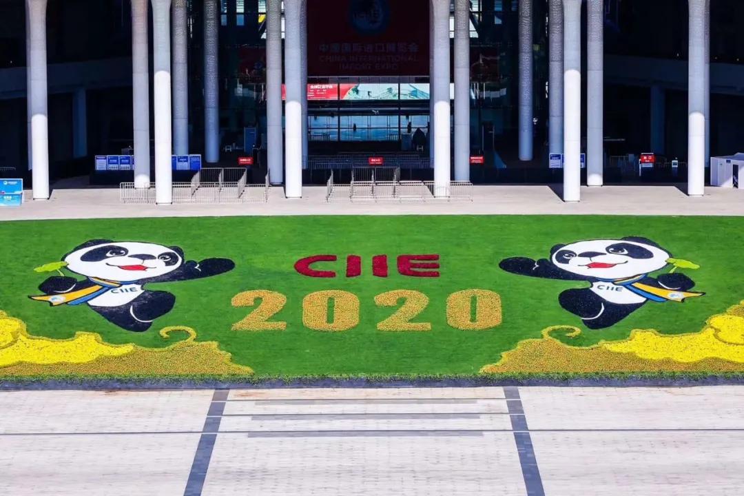 進(jìn)博清關(guān)公司