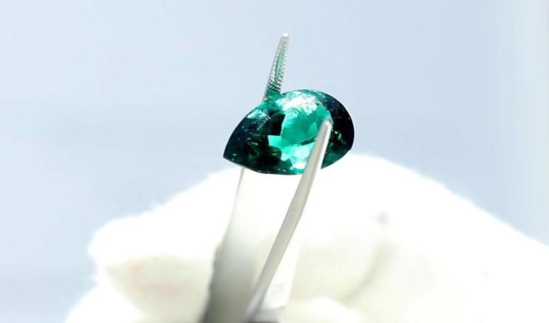 進博清關(guān)公司