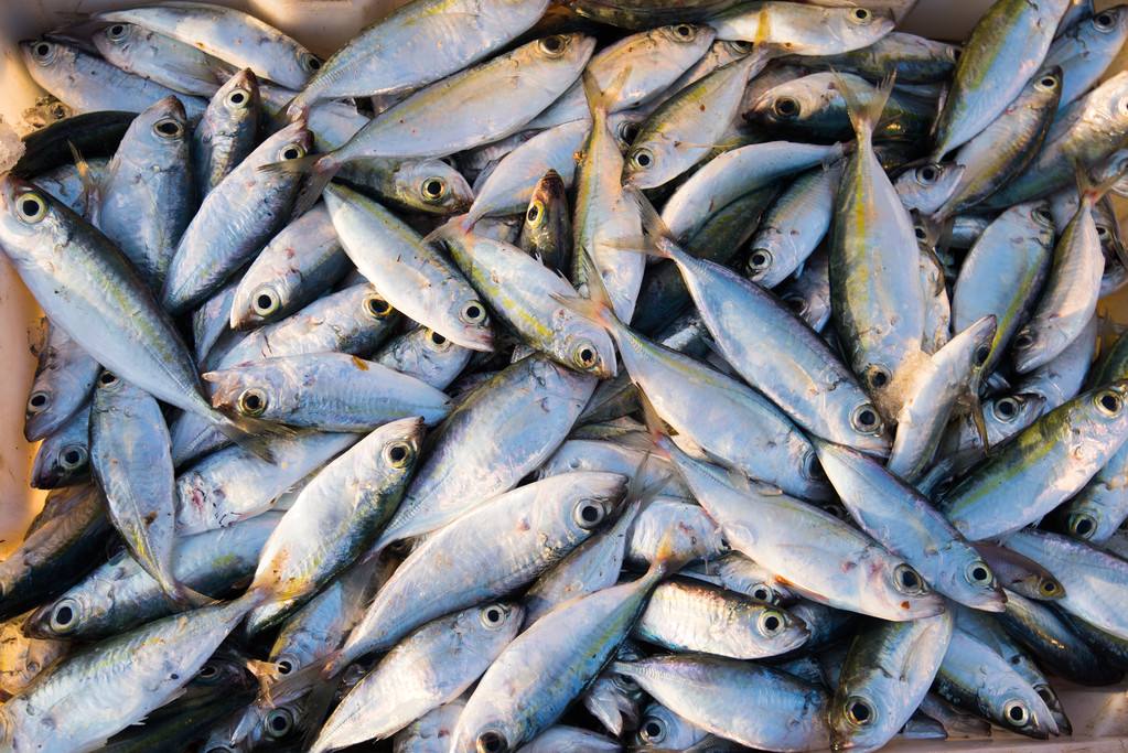 進博清關(guān)公司