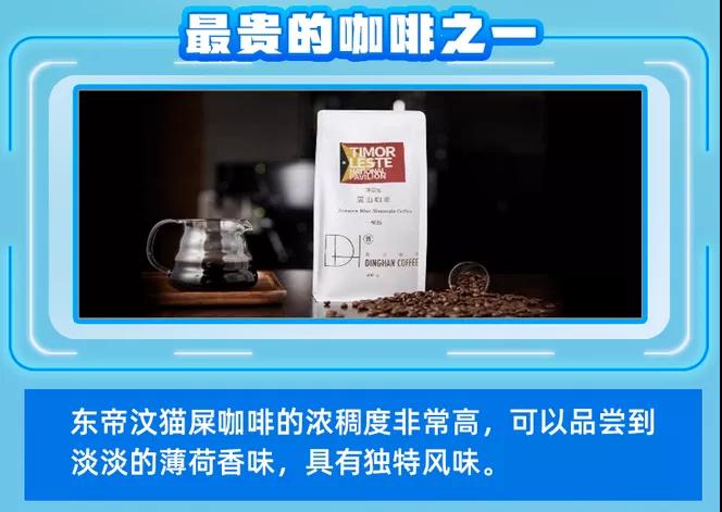 進(jìn)博清關(guān)公司