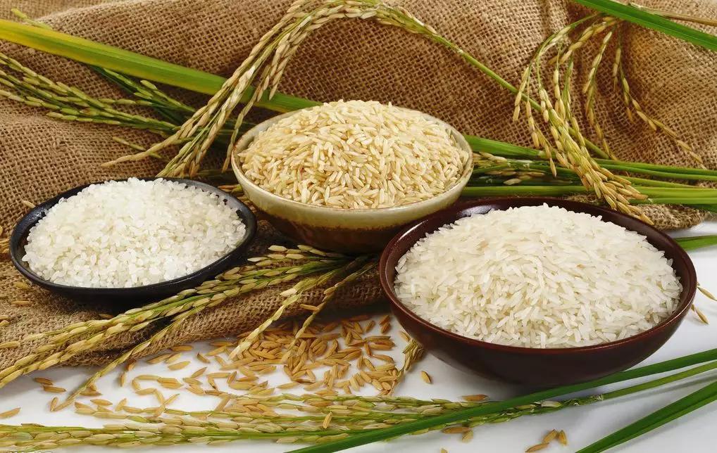 進口外貿(mào)代理