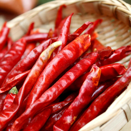 進口外貿(mào)代理