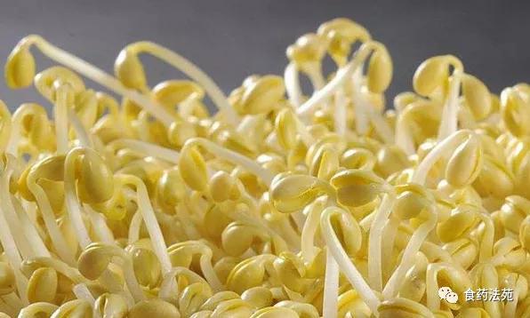 進口外貿(mào)代理