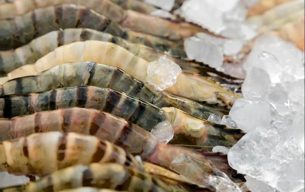 進(jìn)口外貿(mào)代理