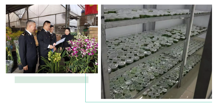 出口外貿(mào)代理