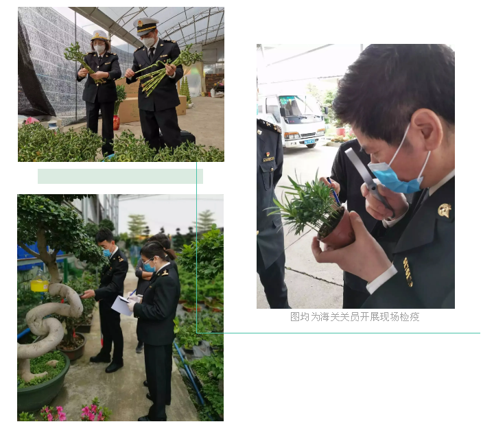 出口外貿(mào)代理