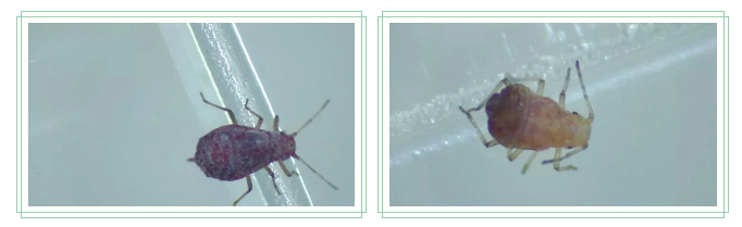 出口外貿(mào)代理