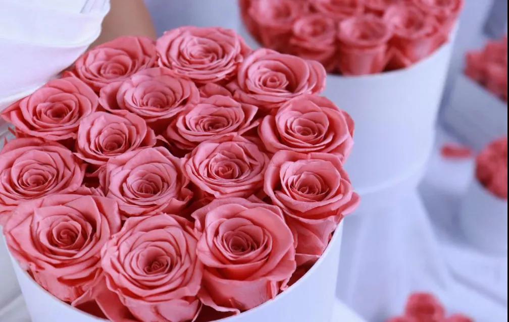 出口外貿(mào)代理