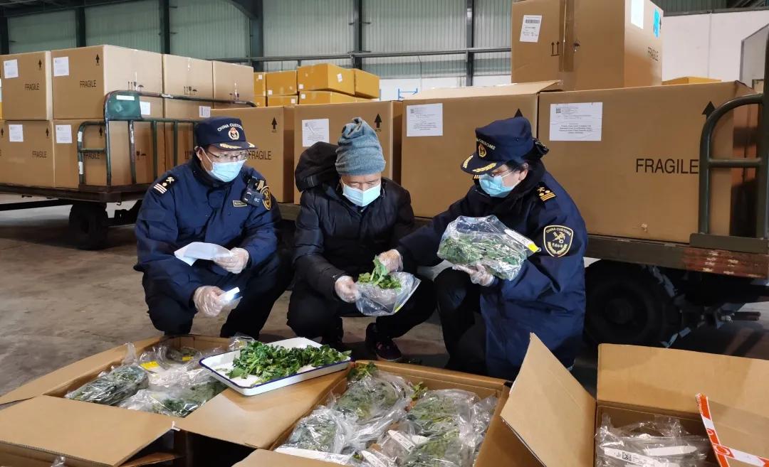 出口外貿(mào)代理