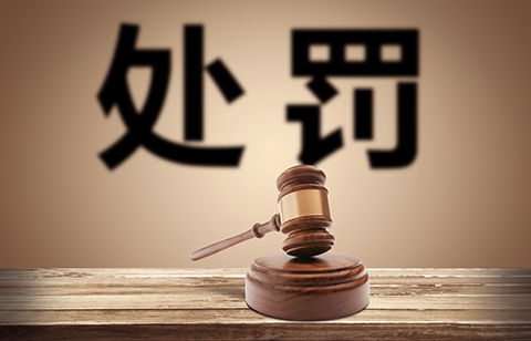 進(jìn)口外貿(mào)代理