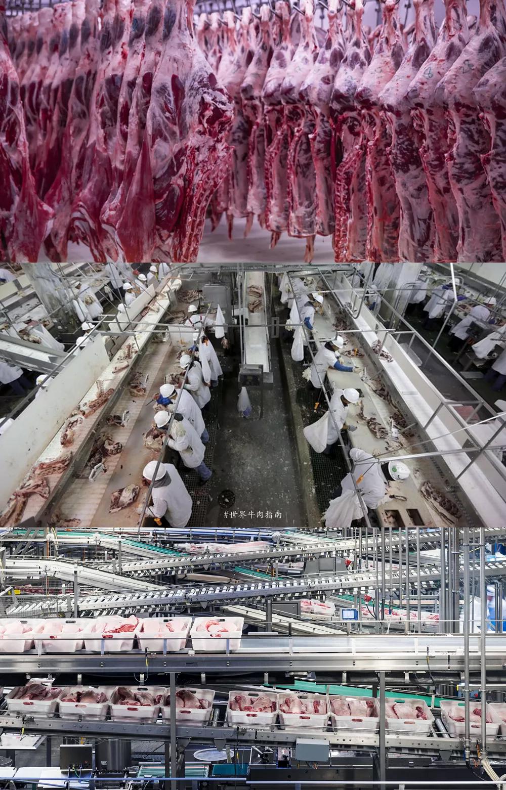 進(jìn)口外貿(mào)代理