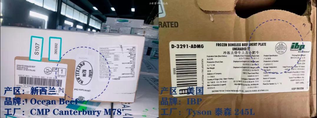 進(jìn)口外貿(mào)代理