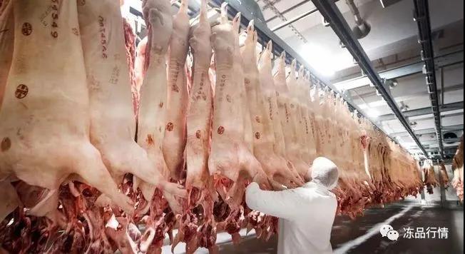 進(jìn)口外貿(mào)代理