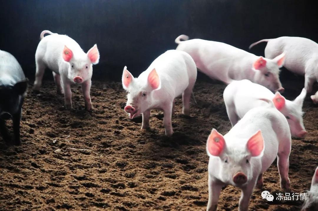 進(jìn)口外貿(mào)代理