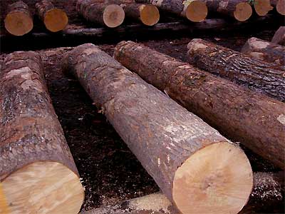 進(jìn)口外貿(mào)代理