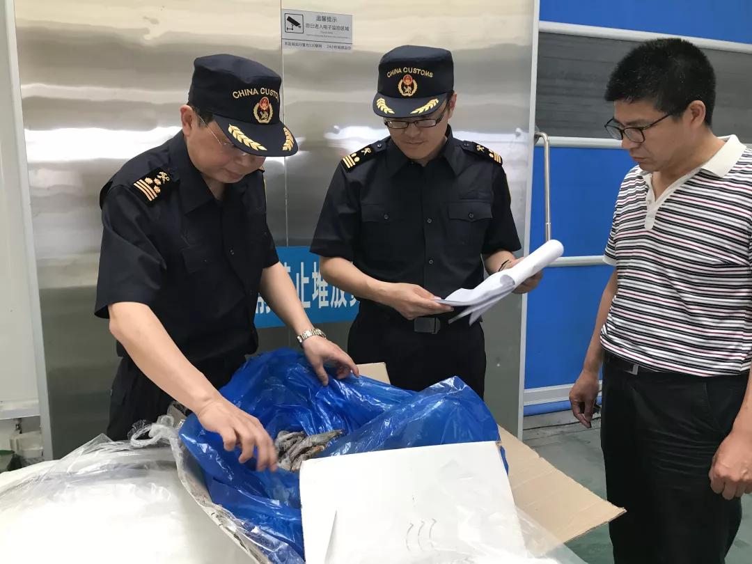 進口外貿(mào)代理