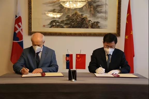 進口外貿(mào)代理