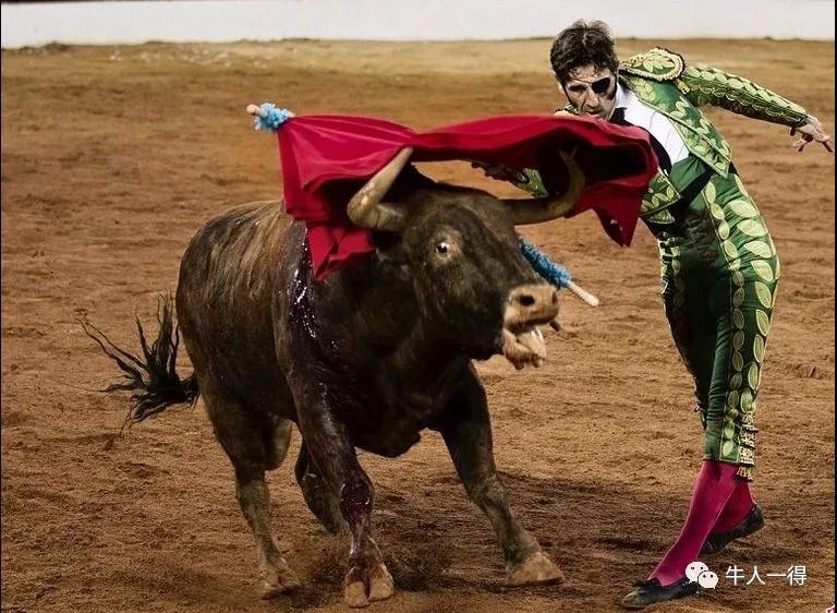 牛肉進(jìn)口外貿(mào)代理