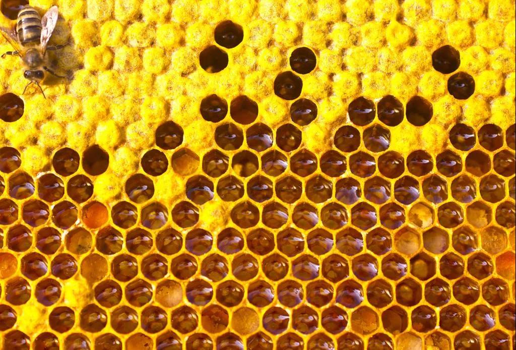 進口外貿(mào)代理