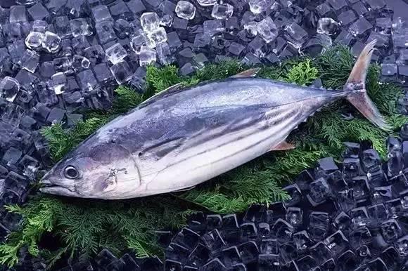 水產(chǎn)品進口外貿(mào)代理