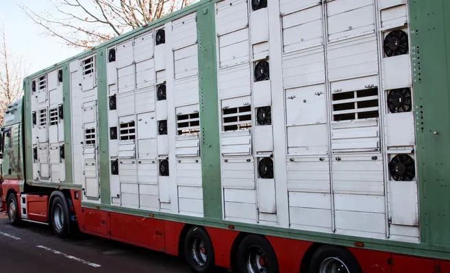 進(jìn)口外貿(mào)代理