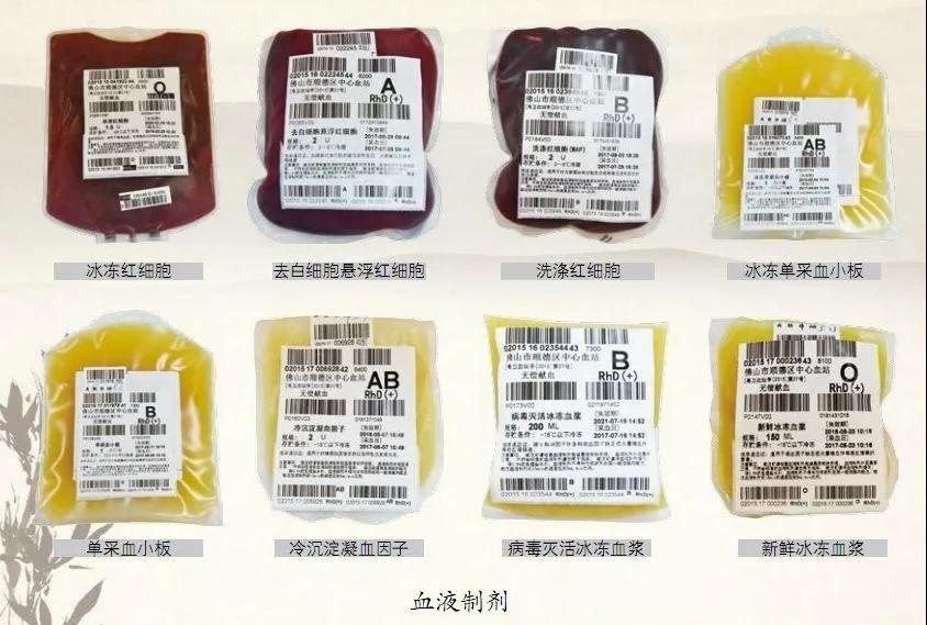 進(jìn)口外貿(mào)代理