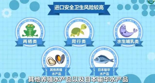 進(jìn)口外貿(mào)代理