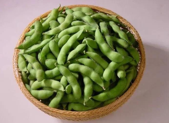 進口外貿(mào)代理