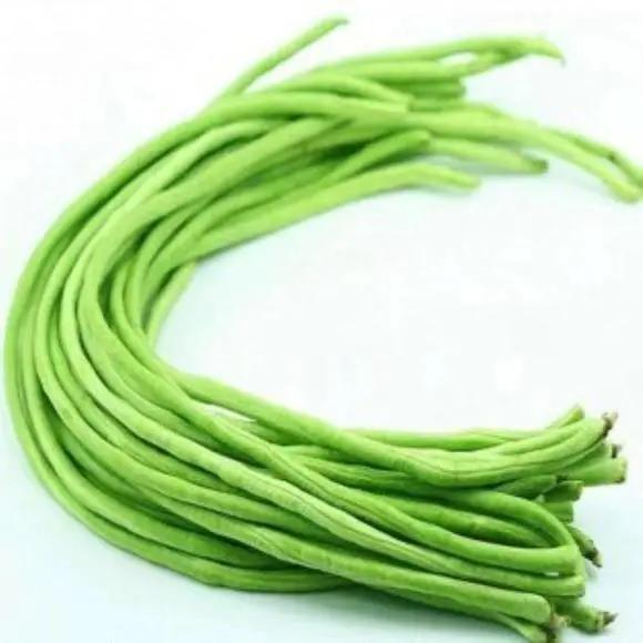 進口外貿(mào)代理