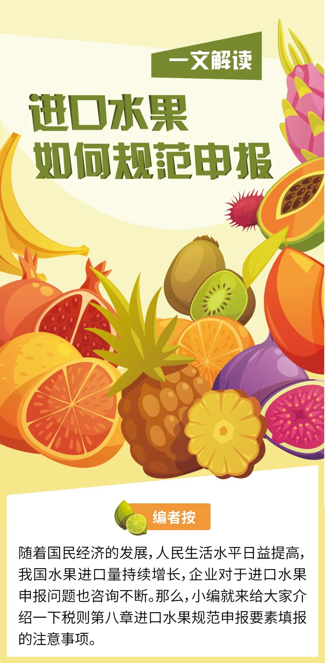 進(jìn)口外貿(mào)代理