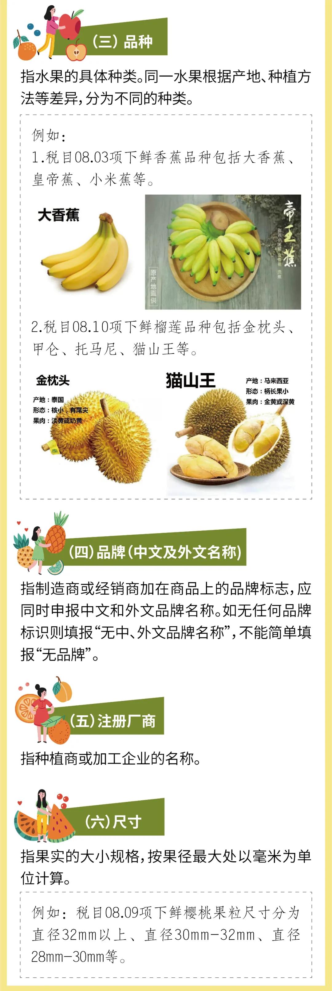 進(jìn)口外貿(mào)代理