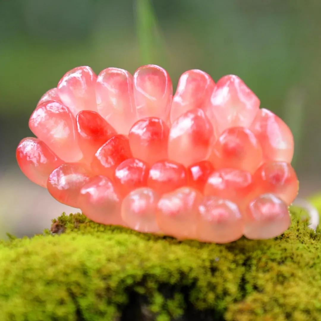 進(jìn)口外貿(mào)代理