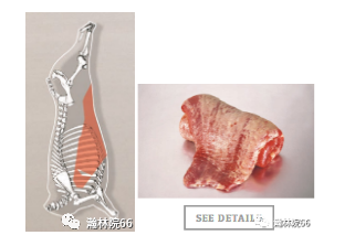 進(jìn)口外貿(mào)代理