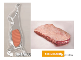 進(jìn)口外貿(mào)代理