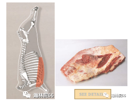 進(jìn)口外貿(mào)代理