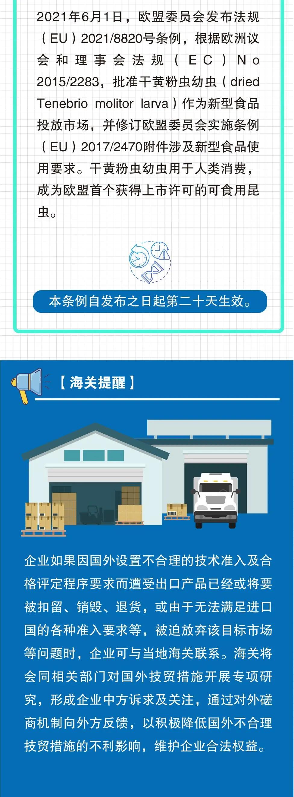 出口外貿(mào)代理