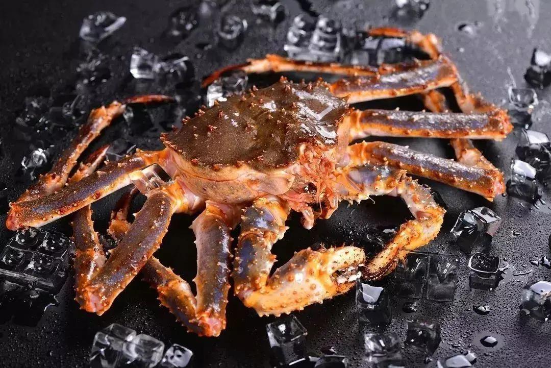 進(jìn)口外貿(mào)代理