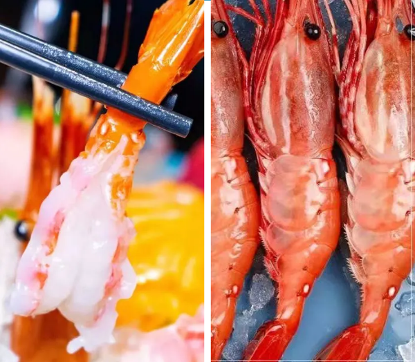 進(jìn)口外貿(mào)代理