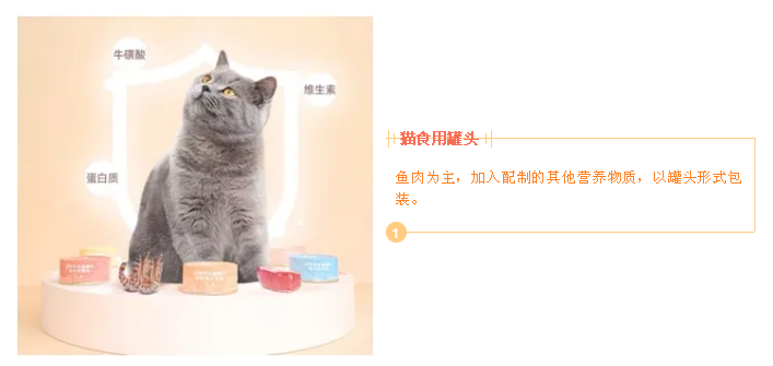 進(jìn)口外貿(mào)代理